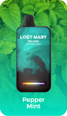Lost Mary BM 16000