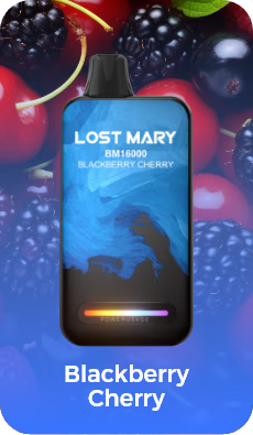 Lost Mary BM 16000