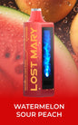 Lost Mary MO20000 Pro