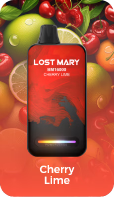 Lost Mary BM 16000