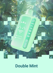 Seafoam green ELF BAR BC 30000 disposable vape, Double Mint flavor design.