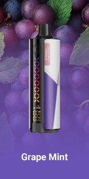 ELF Bar e-shisha disposable vape in Grape Mint, white/black body with rainbow stripe