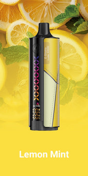 ELF Bar e-shisha disposable vape in Lemon Mint, white/black body with rainbow stripe