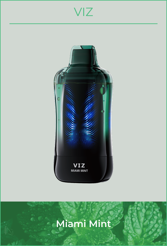 Lost Mary VIZ 55K Puffs