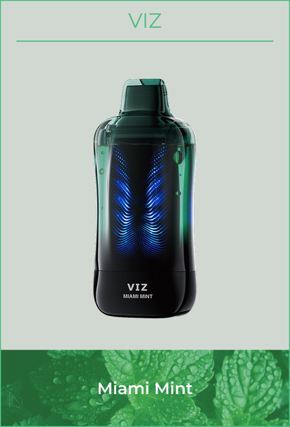 Lost Mary VIZ 55K Puffs