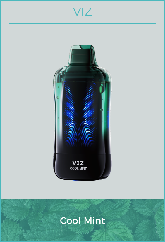 Lost Mary VIZ 55K Puffs