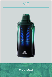 VIZ 55K puffs device with blue light, dark body; Cool Mint flavor